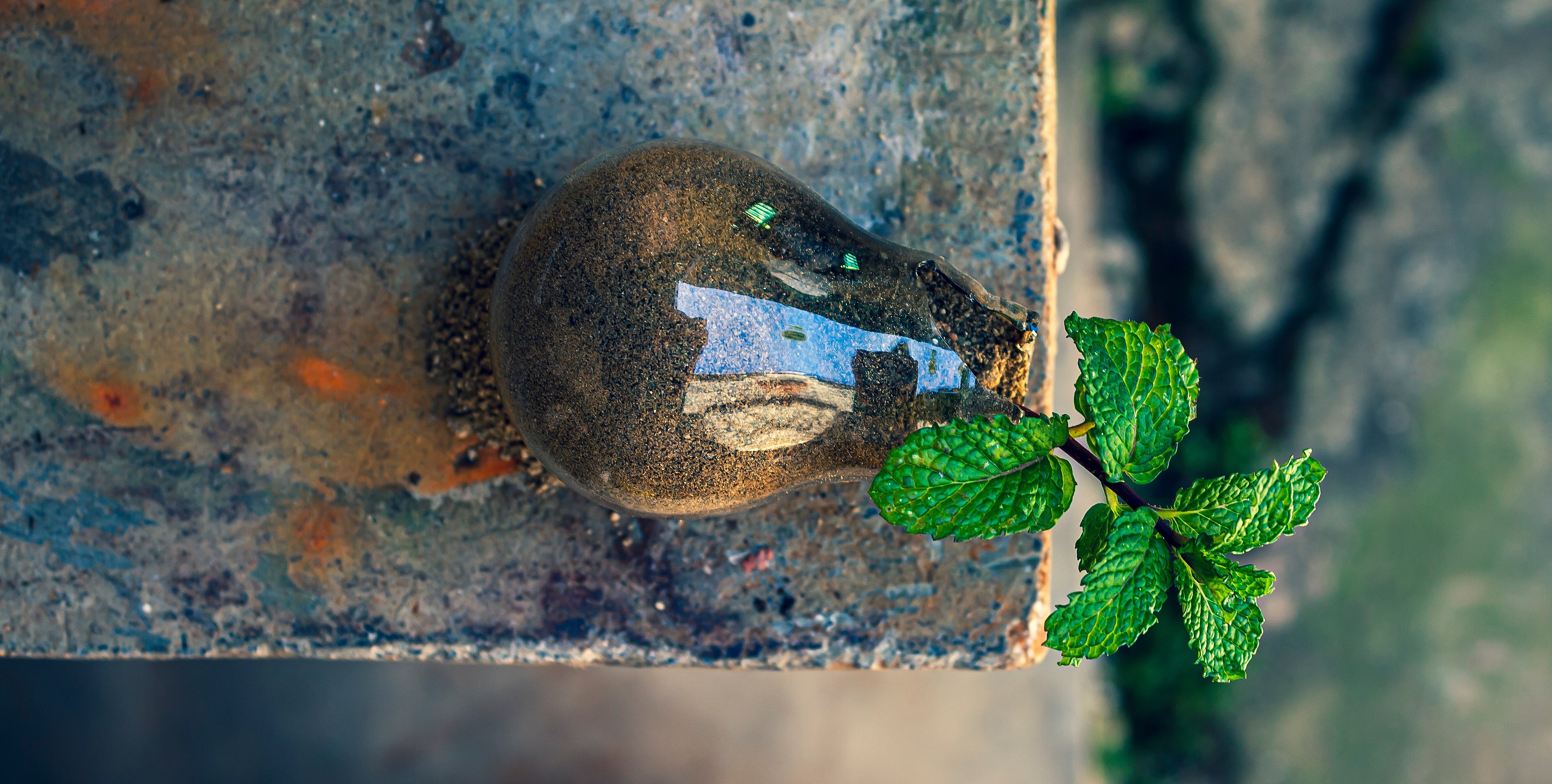 Light bulb with leaves symbolizing Earthquarter